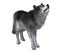 Dire Wolf Howling