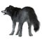 Dire Wolf Tail