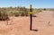 Direction indicator arrow in the desert