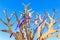 Direction indicator in the form of a tree with branches of plywood on a background of blue sky. Achieving the target