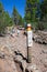 Direction sign is on stone trail in evergreen woods in mountains of Teno national park. Volcanic pathway to Lunar Landscape with h