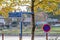 direction signs in Neuwied, Germany, under a tree