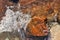 Directly Above Shot of Small Waves Rolling into Beach Dotted with Colorful Rocks and Boulders