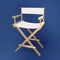 Director chair