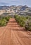 Dirt backcountry road in the Dinosaur National Monument, CO