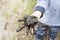 DIRT CHILD HAND PLAYING A MUD PUDDLE OUTDOORS