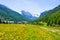 Dirt country road crossing flowery meadows, mountains and forest in scenic alpine landscape and moody sky. Summer adventure and ro