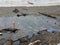 Dirt, debris, and oil and water and sand on shore