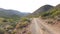 Dirt farm road with vegetation around it