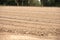 dirt field, soil, irrigation pipe system, sprinklers, farmland in Gilroy