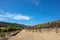 Dirt gravel farm road through rows of vines in vineyard in wine country under blue sky in California US