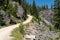 Dirt gravel road going through the mountains in Idaho. Boundary