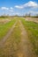 Dirt gravel road through the meadow.