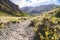 Dirt hiking trail in McGee Creek near Mammoth Lakes California