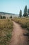 Dirt hiking trail to Wraith Falls in Yellowstone National Park