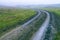 dirt muddy road wet Puddle countryside autumn fall green grass steppe after rain Tire tracks beautiful landscape Moldova