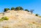 Dirt path down a rolling hill in the Santa Monica Mountains of California