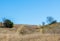 Dirt path down rolling hills with 2 hikers in the distance