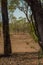 A dirt path leading into a dry paddock and trees