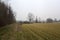 Dirt path next to a forest by the edge of a field with a bell tower in the distance framed by a tree on a cloudy day