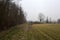 Dirt path next to a forest by the edge of a field with a bell tower in the distance framed by a tree on a cloudy day