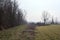 Dirt path next to a forest by the edge of a field with a bell tower in the distance framed by a tree on a cloudy day