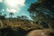 Dirt pathway on wooded landscape and sunlight