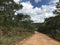 Dirt road through African wild landscape