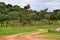 Dirt road through African wild landscape