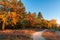 Dirt road along edge of the wood with colorful oak and fir trees illuminated by sunset at autumn evening