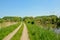 Dirt road along the lush green borders of the canal `de Moer`
