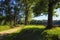 Dirt road along the Natchez Trace Parkway in Mississippi