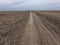 A dirt road amid uncultivated agricultural land