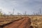 Dirt road in the arid african bush