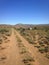 Dirt road in arid Karoo region of South Africa