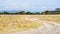 A dirt road in the arid landscapes of Samburu National Park, Kenya