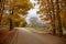 Dirt Road In Autumn