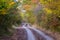 Dirt road in autumn forest in fog. Colorful landscape with beautiful enchanted trees with orange and red leaves in fall