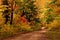 Dirt Road in Autumn-Michigan\'s Upper Peninsula