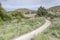 Dirt road bending on green shore at Benmore lake, New Zealand