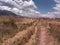 Dirt road, bushes, distant mountains