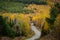 Dirt road through the colorful north woods of Maine