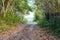 Dirt road coming to the beach next to trees and green vegetation. Wooden fence on the other side.