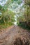 Dirt road coming to the beach next to trees and green vegetation. Wooden fence on the other side.