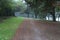 Dirt road among coniferous and deciduous trees along the overgrown fence