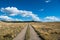 A dirt road curves through grassy fields and ranch land under a beautiful blue sky with white puffy clouds