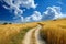 A dirt road cuts through a vast wheat field with golden crops stretching into the horizon, A romantic path winding through a