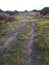 Dirt Road Cutting Through Wild Fields In South Africa