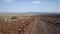 Dirt road at Damaraland Aba huab riverbed