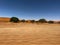 Dirt road in desert. Sand road to Sossusvlei Deadvlei. Lonely tree.